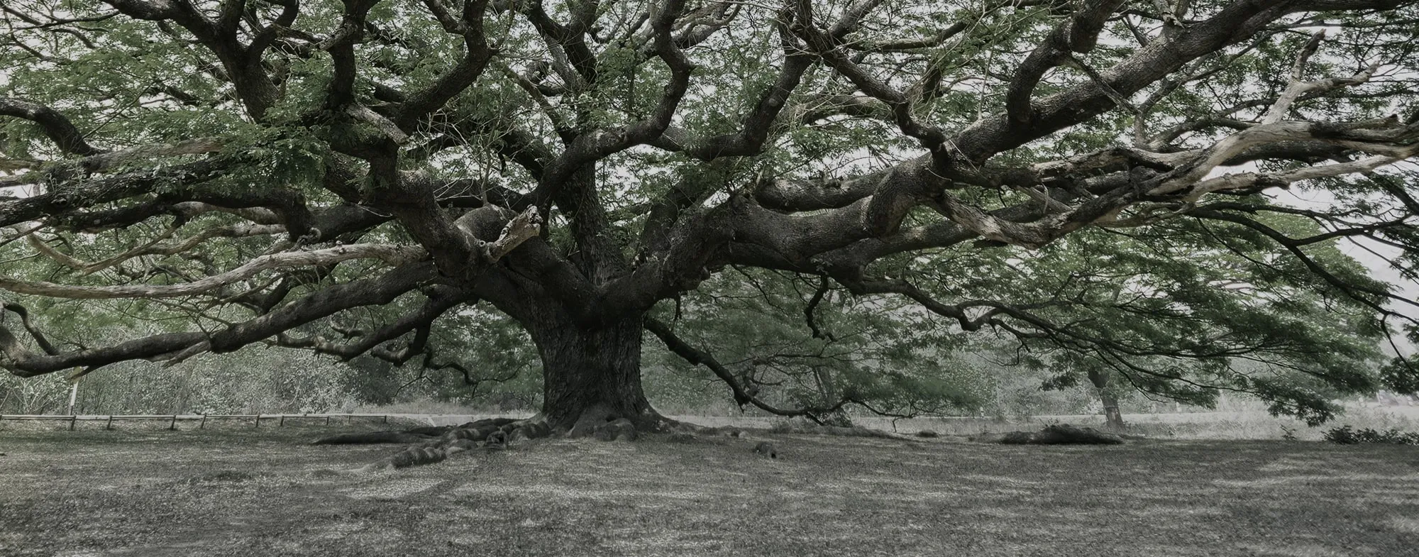 Stagiair Intersaction